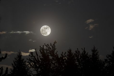 Sleep, Blue Moon, Full Moon, The Next, Moon, Blue