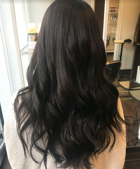 Brown almost black all over Brown Almost Black Hair Color, Dark Hair Almost Black, Rich Brown Black Hair, Different Types Of Dark Brown Hair, Dark Brown Black Balayage, Dark Almost Black Hair, Almost Black Brown Hair, Brown Hair Dyed Black, Off Black Hair Color