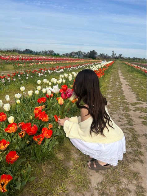 Flower Park Outfit, Photo Ideas Flowers Field, Tulip Field Picture Ideas, Tulip Fields Outfit, Holland Tulip Festival, Tulip Instagram Picture, Pose In Flower Field, Flower Fields Outfit, Tulip Feild Pics