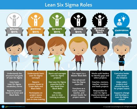 10+ Things Everyone Needs To Know Before Getting a Green Belt - GoLeanSixSigma.com Organisation, Debit Free, Six Sigma Tools, Serious Sam, Six Sigma, Operational Excellence, Lean Manufacturing, Healthcare Management, Lean Six Sigma