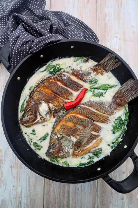 Ginataang Pritong Tilapia - Exploring the rich flavours of Filipino cuisine with a dish that’s crispy, creamy, and oh-so-satisfying. Who can resist this comfort food delight? 🍽️ #FlavorsOfHome #FilipinoFood. Dive into the world of Filipino cuisine with Ginataang Pritong Tilapia, a flavourful dish featuring crispy fried tilapia in a creamy coconut milk sauce. If... Filipino Recipes, Coconut Milk Sauce, Fried Tilapia, Hearty Lunch, Filipino Cuisine, Main Course Dishes, Coconut Sauce, Filipino Dishes, Cooking Seafood