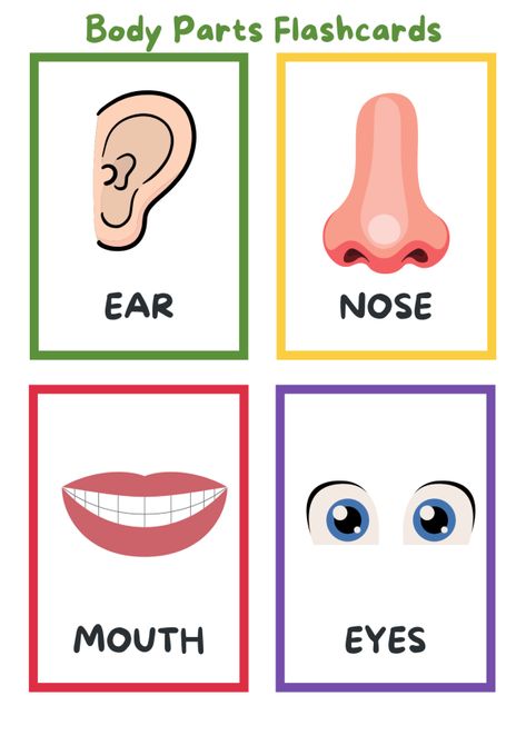 learn body parts for kids cards body systems cards Body Parts Flashcards, Body Parts Theme, Body Parts Preschool Activities, Body Parts For Kids, Flash Cards For Kids, Flashcards Printable, Flashcards For Toddlers, Body Preschool, Body Parts Preschool