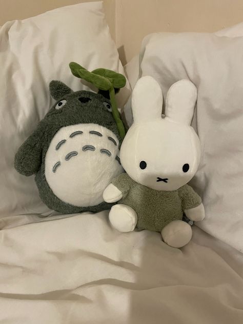 miffy and totoro Studio Ghibli, Room Makeover Inspiration, Cute Stuffed Animals, Cute Little Things, Cute Plush, الرسومات اللطيفة, Green Aesthetic, Softies, Cute Icons