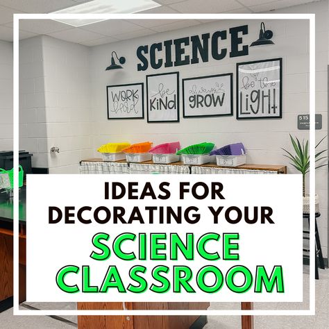 Do you teach science? Today, on the blog, I'm sharing ideas and inspiration for decorating your science classroom. Middle School Science Decor, Health Science Classroom, High School Biology Classroom, Science Room Decor, Life Science Classroom, High School Science Classroom, Elementary Science Classroom, Bear Scouts, Sixth Grade Science