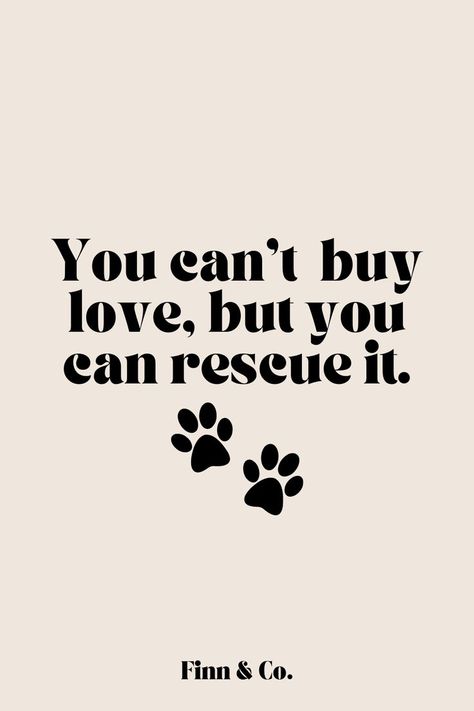 rescue dog quote for adopting shelter dogs Dog Adoption Quotes, Rescue Dog Quotes, Animal Rescue Quotes, Rescue Quotes, Animal Lover Quotes, Dog Mom Quotes, Adoption Quotes, Dog Lover Quotes, Dog Quotes Love