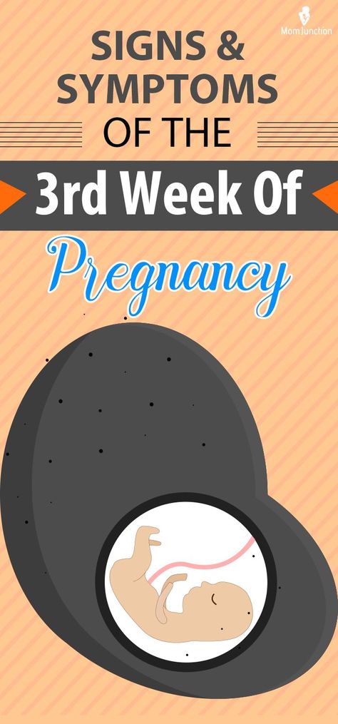 The 3rd-week pregnancy symptoms may seem faint or barely noticeable to some mothers. Despite that, it is one of the crucial phases of pregnancy. It is when the fetus begins to develop the neural tube, which leads to the formation of the nervous system eventually. 3-4 Weeks Pregnant, Week 3 Pregnancy Symptoms, Week 5 Pregnancy Symptoms, Stages Of Pregnancy Weekly, 3 Weeks Pregnant Symptoms, Three Weeks Pregnant, Week 5 Pregnancy, Very Early Pregnancy Signs, 3 Weeks Pregnant