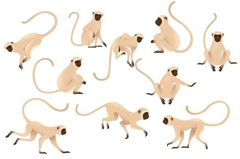 Indian Monkey, Big Panda, Monkey Drawing, Vervet Monkey, Steam Art, Face Cartoon, Monkey Illustration, Panda Illustration, Monkey Pattern