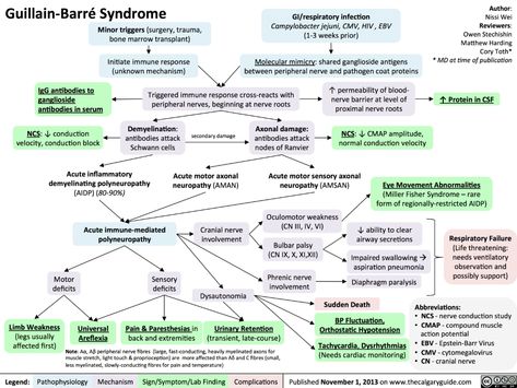 Guillain Barre, Guillain Barre Syndrome, Nursing School Survival, Respiratory Therapy, Bts Song Lyrics, School Survival, Neurological Disorders, Nursing Study, Nursing Notes