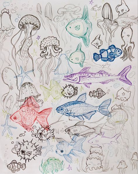 Mini Shark Drawing, Aesthetic Sea Creatures Drawing, Sea Animals Drawing Cute, Sketches Of Sea Creatures, Fish Drawings Colorful, How To Draw Puffer Fish, Aquarium Sketch Art, Funky Ocean Art, Sketches And Doodles