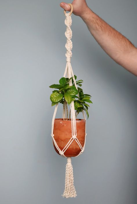 Modern Plant Hangers Indoor, Macrame Plant Hanger Small Pot, Making A Plant Hanger, Macrame Pot Plant Hanger, 2 Tier Macrame Plant Hanger Diy, How To Tie A Plant Hanger, No Ring Macrame Plant Hanger, Flower Pot Macrame, Flower Pot Hangers Diy