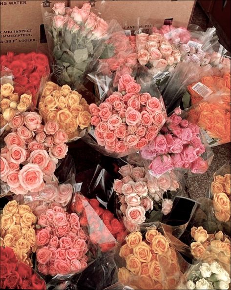 Soft Pink Valentines Day Aesthetic, Flowers On Valentines Day, Love Flowers Aesthetic, Cute Valentines Day Aesthetic, Valentines Roses Aesthetic, Valentines Core Aesthetic, Red And Pink Flowers Aesthetic, Pennycore Aesthetic, Valentines Vintage Aesthetic