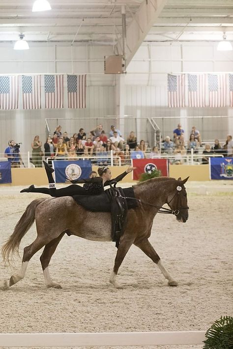 Equestrian Vaulting Moves, Equestrian Vaulting, Vaulting Equestrian, Horse Vaulting, Trick Riding, Bear With Me, Aim High, Riding Lessons, Olympic Sports