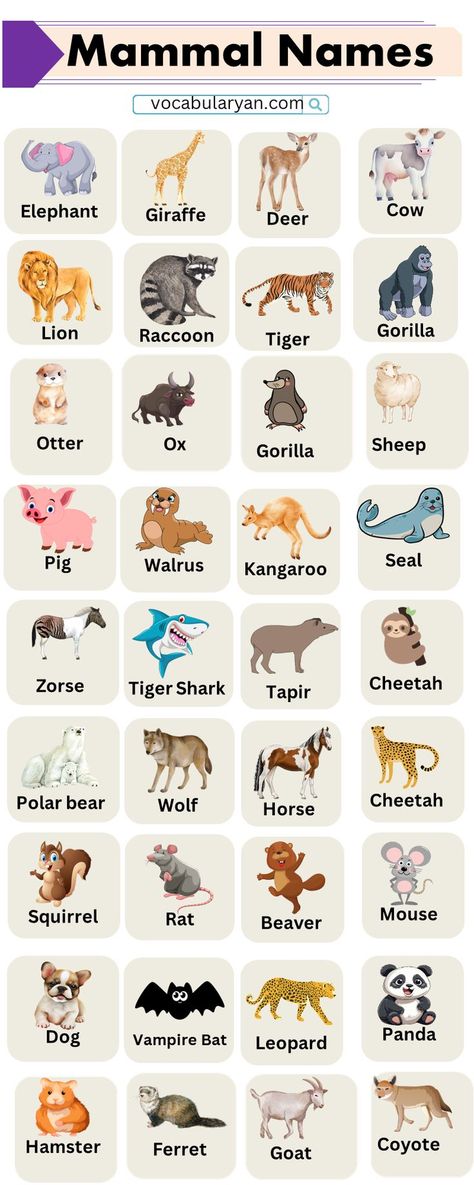 Mammal Names in English, Mammal Names and Pictures, Mammal Name List, 100 Mammals, 10 Mammals Name, List of Mammals A-Z, Five Mammals Name, Mammals Meaning Vocabulary, English Course, Name List, African Elephant, English Study, English Vocabulary, Colour Tone, Mammals, Meant To Be