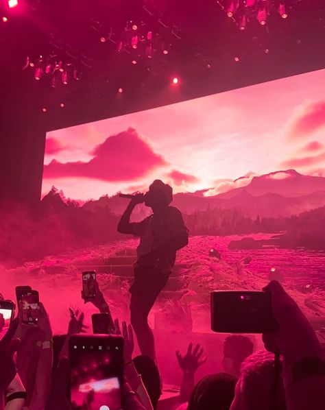 Tyler The Creator On Stage, Childish Gambino Concert, Tyler The Creator Concert, Tyler Okonma, Pink In Concert, Future Concert, Stage Light, Dream Concert, Childish Gambino
