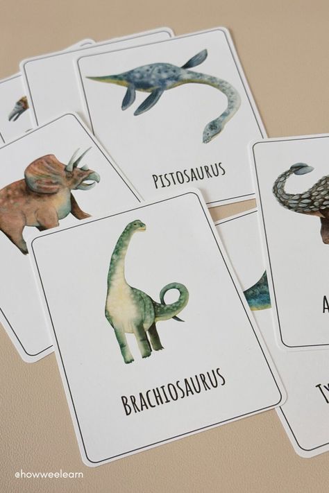 Montessori, Dinosaur Flash Cards Free Printable, Free Dinosaur Printables Preschool, Dinosaur Flashcards Free Printable, Dinosaur Flash Cards, Free Dinosaur Printables, Number Cards Printable, Thema Dino, Dinosaur Facts