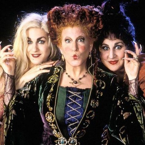 Hocus Pocus Cast, Sanderson Sisters Costumes, Hermanas Sanderson, New Halloween Movie, 31 Nights Of Halloween, Halloween Movies List, Sister Costumes, Halloween Film, Halloween Hocus Pocus