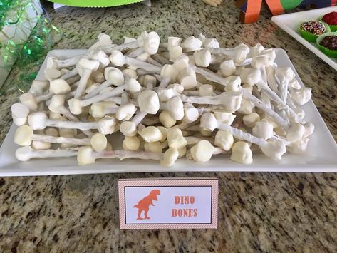 Dinosaur bones = marshmallows on the ends of pretzel sticks, dipped in white chocolate. Dino Themed Treats, Marshmallow Dinosaur, Dino Snacks, Pretzel Sticks Dipped, Science Party Food, Dino Party Food, Dinosaur Science, Dinosaur Party Food, Chocolate Dipped Pretzel Rods