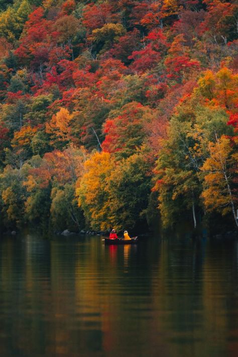 Nature, Tumblr, Fall Lake Wedding, Vermont Fall Foliage, New England Fall Foliage, Christmas Wedding Inspiration, Vermont Fall, Fall Vacations, Autumn Lake