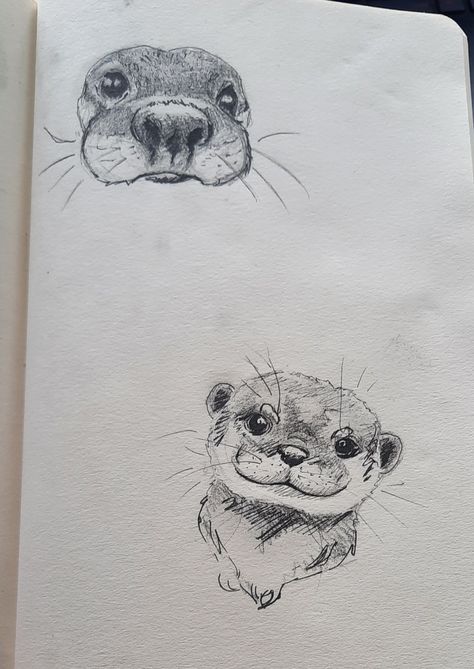 Two drawn cute otters Otter In Water Drawing, Sloth Drawing Cute, Sea Otter Sketch, Simple Otter Drawing, How To Draw Otter, How To Draw An Otter, River Otter Drawing, Otter Drawing Sketches, Otter Drawing Cute