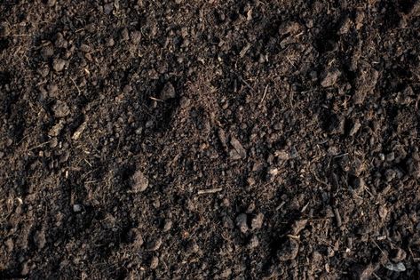 Soil Aesthetic, Land Texture, Loam Soil, Texture Nature, Plant Texture, Soil Texture, Cars Jeep, Photo Pattern, Organic Soil