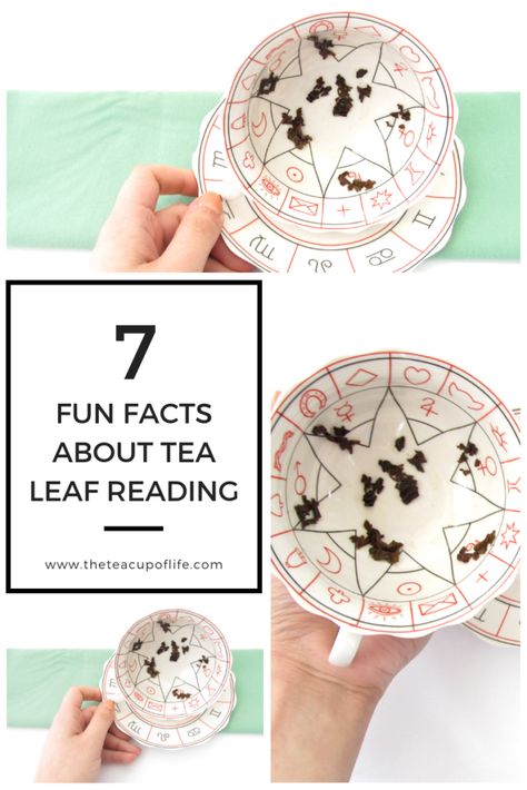 To Have And Have Not, How To Read Tea Leaves Cups, Tea Reading Cup, How To Read Tea Leaves, Tea Divination, Tea Leaves Reading, Tea Leaf Reading Symbols, Tea Leaf Reading, Reading Tea Leaves