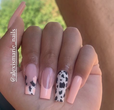 Pink Nails Acrylic, Country Acrylic Nails, Rodeo Nails, Cowboy Nails, Cow Print Nails, Concert Nails, Short Coffin Nails Designs, Pink Cow Print, Acrylic Nails Gel