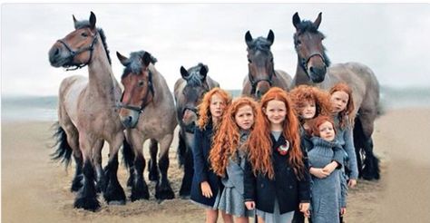 Wow Irish Horse and ginger kids Ireland Beauty, Ireland People, Irish Drinks, Ireland Pictures, Dark Hedges, Elmer Fudd, Ireland Vacation, Visit Ireland, Fairy Magic