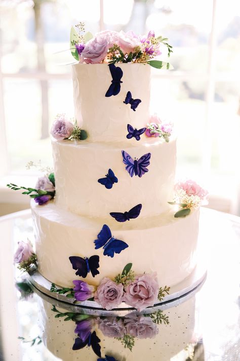 Purple Butterfly Cake, Butterfly Wedding Cake, Quince Cakes, Quince Cake, Purple Wedding Cake, Wedding Cake Boxes, About Butterfly, Wedding Cake Images, Butterfly Birthday Cakes