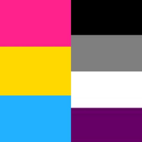 Panromantic Demisexual, Pansexual Asexual, Banner Minecraft, Ace Flag, Pansexual Flag, Minecraft Banner Designs, Ace Pride, Gender Issues, Asexual Pride