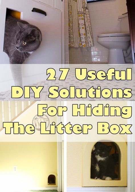 27 Useful DIY Solutions For Hiding The Litter Box. There's actually some really good ideas in this. Katt Grejer, Kat Diy, Seaside Style, Cat Training, Modern Coastal, Animal Projects, Cat Diy, Cat Care, Cat Furniture