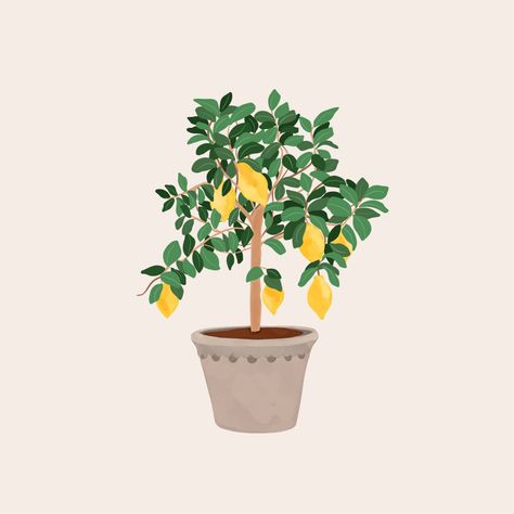 Mediterranean Tattoos, Lemon Tree Drawing, Lemon Tree Aesthetic, Lemon Tree Illustration, Lemon Tree Art, Bookstagram Feed, Book Notion, Small Fruit Trees, Illustration Plants