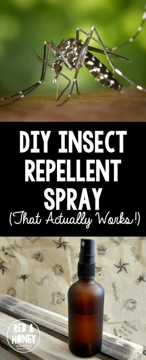 Diy Insect Repellent, Mosquito Repellent Essential Oils, Insect Repellent Essential Oils, Mosquito Repellent Spray, Diy Mosquito Repellent, Diy Bug Spray, Fly Catcher, Insect Repellent Spray, Homemade Essential Oils