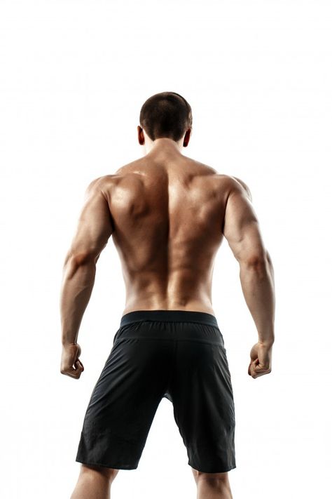 Back view of unrecognizable man, strong ... | Premium Photo #Freepik #photo #background #hand #man #sports Strong Back Reference, Male Back View Reference, Muscular Man Back Reference, Male Model Back View, Man Back Pose Reference, Muscular Torso Reference, Reference Back Pose, Muscle Back Reference, Strong Man Pose Reference