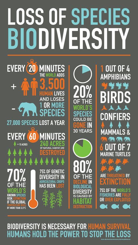 Celebrate the International Day for Biodiversity, take action! Loss of Biodiversity [Infographic] | ecogreenlove Environmental Science, Ochrana Prírody, Save Our Earth, Infographic Design Inspiration, Environmental Education, Environmental Awareness, Environmental Issues, Teaching Science, Save Earth