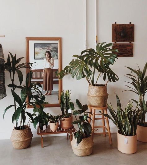 Tanaman Indoor, نباتات منزلية, Plant Decor Indoor, Room With Plants, House Plants Decor, Room Decor Bedroom Teenage, Aesthetic Room Decor, تصميم داخلي, Room Decor Bedroom