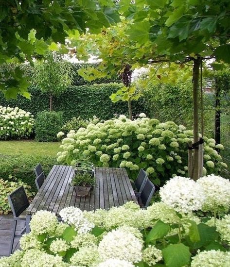 Shaded Garden, Small Gardens, Jardim Diy, Have Inspiration, Backyard Garden Design, White Gardens, Small Garden Design, Gorgeous Gardens, Garden Cottage