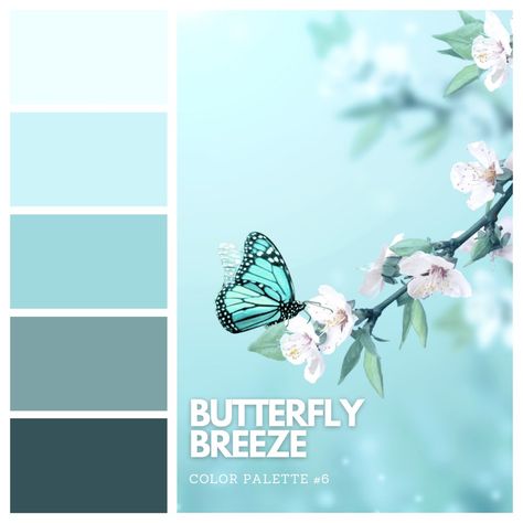 Embrace the gentle hues of tranquility with our latest color palette: Butterfly Breeze. 🦋✨ Inspired by soft aquas, fluttering butterflies, and delicate cherry blossoms, let these serene shades bring a sense of calm to your space. 💙 Save this post for your next creative project and let the soothing colors inspire you whenever you need a moment of serenity. 🎨 #ButterflyBreeze #ColorPalette #Serenity #Inspiration Cherry Blossoms, Colour Palettes, Breeze Color, Fluttering Butterflies, Guided Visualization, Latest Colour, Soothing Colors, World Of Color, Color Palettes