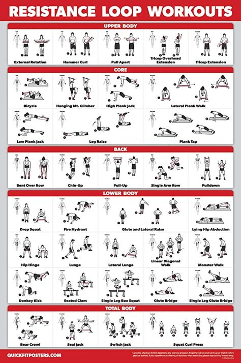 Amazon.com : QuickFit Resistance Loop Bands Workout Poster - Laminated - Exercise Chart for Resistance Band Loops - 18" x 27" : Sports & Outdoors Loop Workout, Resistant Band Workouts, Band Training, Bands Workout, Resistance Band Training, Band Exercises, Exercise Chart, Workout Posters, Resistance Band Workout