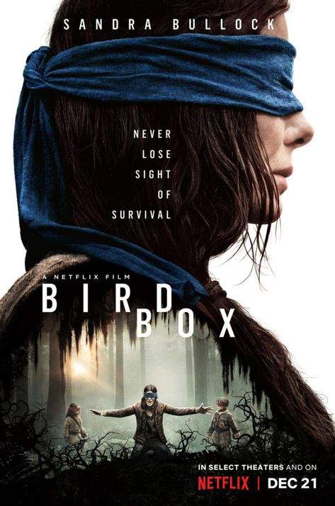 Suspense Movie Poster, Adventure Movies Poster, Horror Poster Movie, Movie Posters Thriller, Movie Poster Thriller, Thriller Movies Posters, Horror Movie Poster Ideas, Bird Box Poster, Horror Films Posters