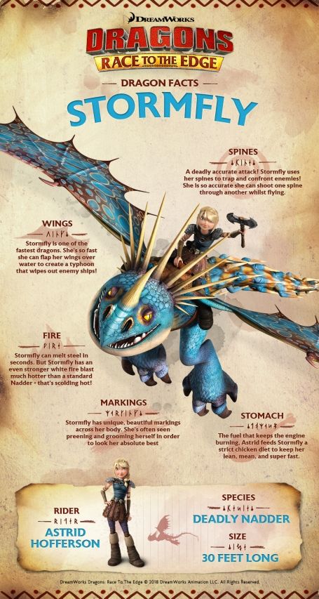 Dragons Types Chart, How To Tame Your Dragon, How To Train Your Dragon Dragons Types, How To Train Your Dragon Book Of Dragons, Httyd Dragon Species, Httyd Dragons Species List, Book Of Dragons Httyd, Berk Httyd, Httyd Book Of Dragons Pages