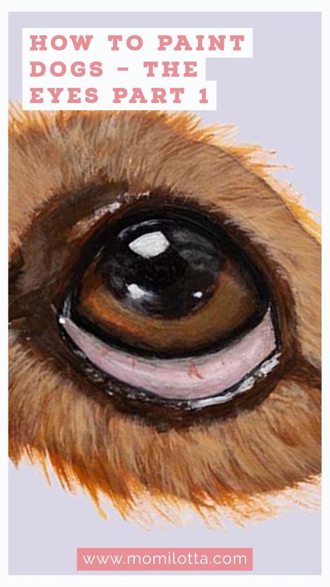 This post is the first in a series about how I paint dogs. It is just a guide to help you on your artistic path. It is not intended to be the definitive guide. It is, from my experience, what I have learned these years. and several things to consider before painting them. In this first part, we will see the part of the eye and several things to consider before painting them. Dogs Eyes Painting, How To Paint Dog Eyes Acrylic, Acrylic Painting Dogs Pet Portraits, Animal Eyes Painting, How To Paint Dogs Acrylic, Painting Dogs On Canvas, Pet Portraits Watercolor, Acrylic Painting Dog, Painting Dogs Acrylic