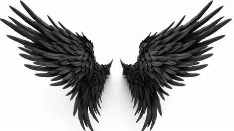 3d illustration demon wings,black wing plumage isolated on white background,hd photography photo,angel wings,feather,wings,fantasy,freedom,angel,black,dark,devil wings,wing,white wings,angel background,devil,fantasy background,feather background,fluffy,fly,black white,dark background Angel Background, Dark Devil, Dark Angel Wings, White Background Hd, Devil Wings, Feather Background, Fantasy Realm, Nature Party, Hd Photography