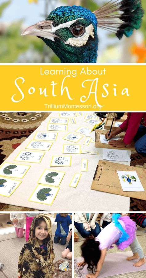 Preschool activities for learning about South Asia Montessori, Asian Activities For Preschool, Asia Montessori Activities, Asia Activities Preschool, January Themes, Asian Animals, Preschool Set Up, Learning Preschool, Montessori Geography
