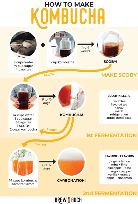 Diy Kombucha, Kombucha Bottles, Make Kombucha, Kombucha Flavors, Decaf Tea, Kombucha Scoby, Kombucha Recipe, Homemade Kombucha, Kombucha How To Make