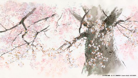 Movie Screenshots, Studio Ghibli, anime, The Tale of Princess Kaguya, Kaguya, animated movies, cherry blossom | 1920x1082 Wallpaper - wallhaven.cc Tumblr, Princess Kaguya, Anime Studio, Ghibli Museum, Secret World Of Arrietty, Video Backdrops, Studio Ghibli Background, Studio Ghibli Movies, Castle In The Sky