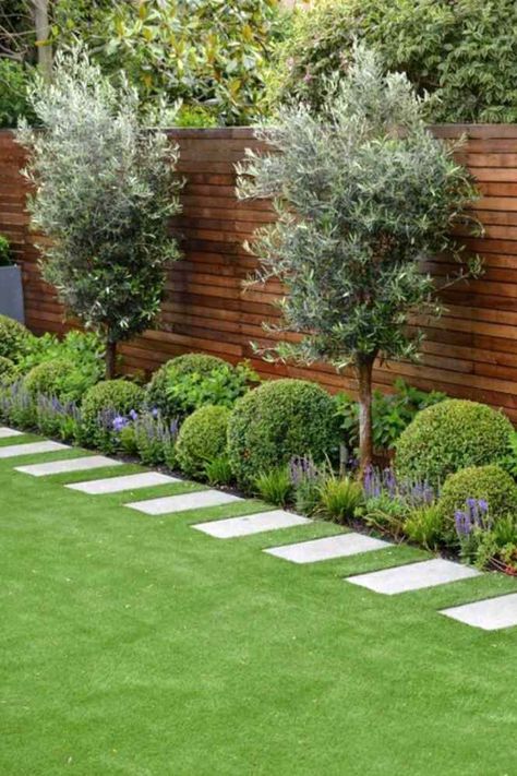 We have a great suggestion for your back garden. Combine our delightful Olive trees with stylish Boxwood balls of different sizes 🌳 Add some flowers to add colour. We have an extensive range of trees that will work well in group planting. What are you waiting for? Check out our website today for some more inspirational ideas! Modern Garden Design, Small Garden Landscape, Back Garden Design, Have Inspiration, Outdoor Gardens Design, Contemporary Garden, Backyard Garden Design, Garden Landscape Design, Small Garden Design