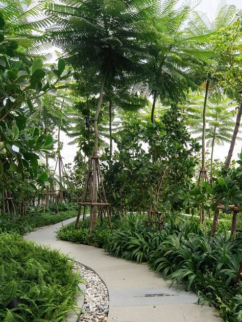 Tropical Park Design, Tropical Garden Plants Landscaping, Tropical Resort Landscape Design, Tropical Modern Landscape, Modern Tropical Landscape Design, Shma Landscape, Landscape Ideas Farmhouse, Bali Landscape Design, Bali Garden Design