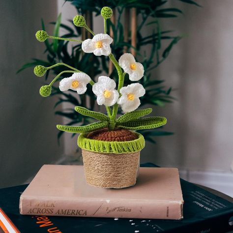 Crochet Pots For Plants, Crochet Potted Plants, Crochet Orchid, Crochet Flower Pot, White Flower Pot, Friends Women, White Desk Office, Orchid Pot, Forever Flowers