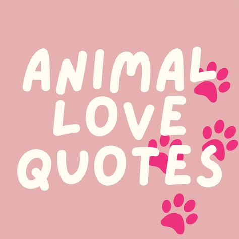 Whether you’re a lover of dogs or crazy about cats, these animal love quotes will make you smile about your four-legged friends. Animals Love Quotes, Caption About Dog Love, Cat And Dog Friendship Quotes, Quotes About Animals Inspirational, Happy Pet Quotes, Pets Love Quotes, Quote About Animals, Letter Board Quotes Dogs, Loving Animals Quotes