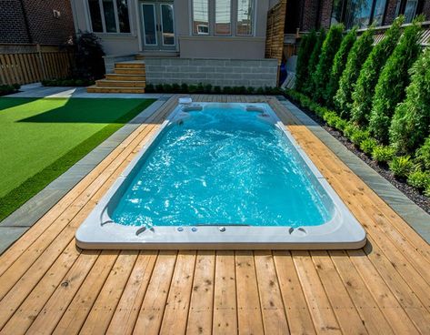 Lap Pools Backyard, Pools For Small Yards, Small Outdoor Patios, Endless Pool, Pools Backyard Inground, Small Yards, Small Swimming Pools, Small Pool Design, Swim Spa